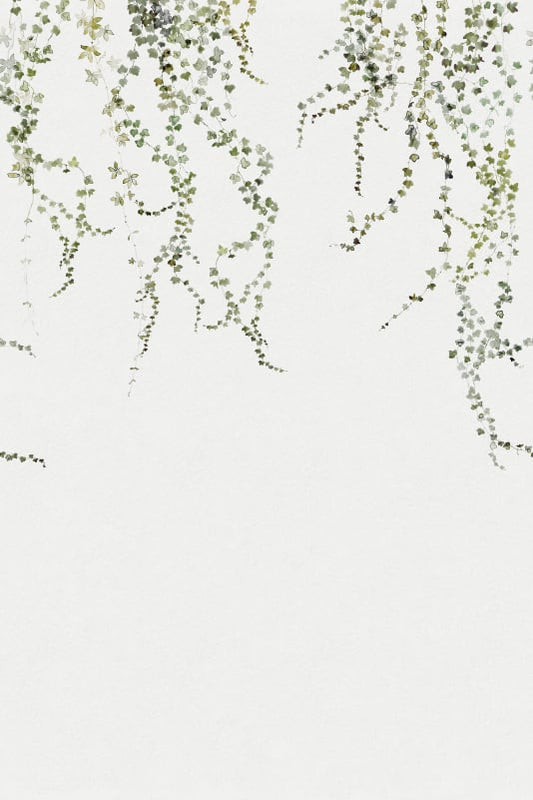 Aralia - Sandberg -  Custom Sized Wallpaper Mural (per m2) -Moss Green
