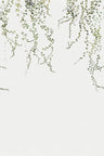 Aralia - Sandberg -  Custom Sized Wallpaper Mural (per m2) -Moss Green