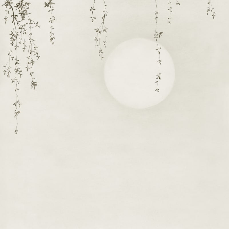 Wabi Sabi - Sandberg -  Custom Sized Wallpaper Mural (per m2) - Soft Grey