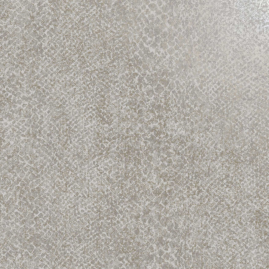 Boa Wallpaper - Grey