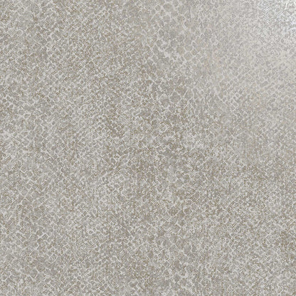Boa Wallpaper - Grey