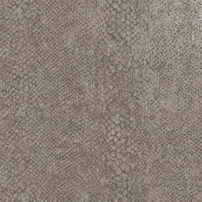Boa Wallpaper - Taupe