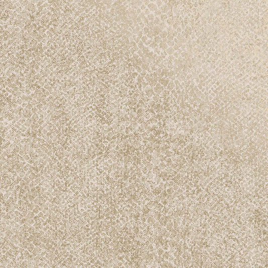 Boa Wallpaper - Cream