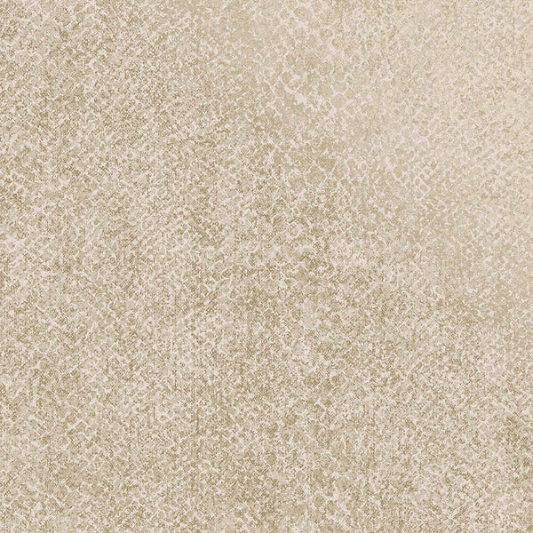 Sample - Boa Wallpaper - Cream