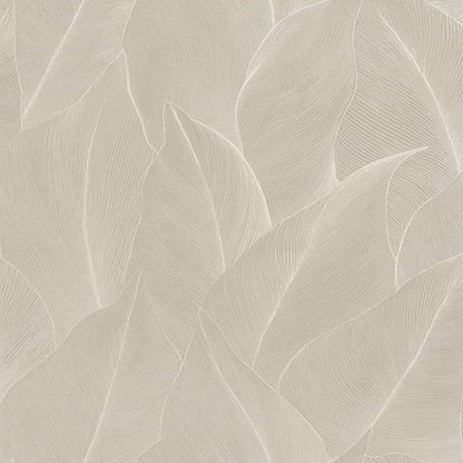 Anthurium Wallpaper - Cream