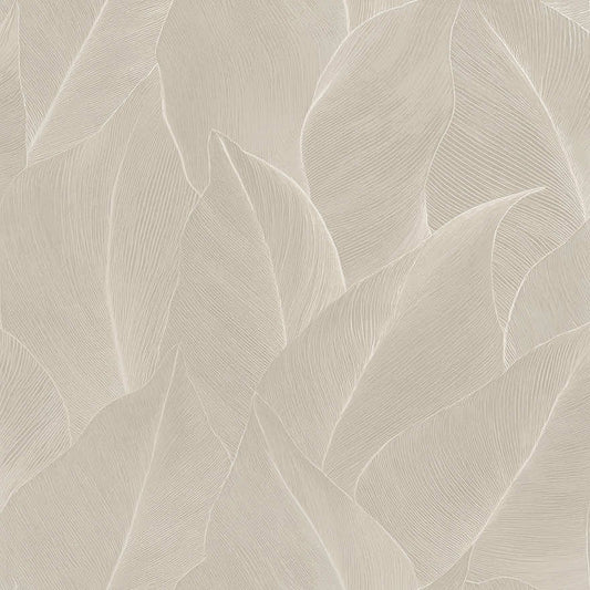 Anthurium Wallpaper - Cream