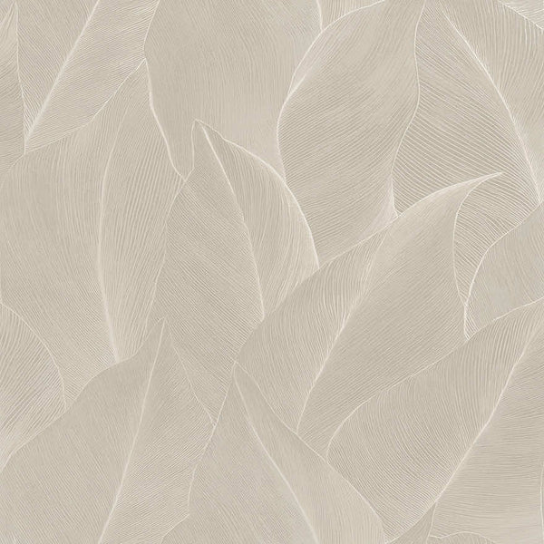 Sample - Anthurium Wallpaper - Cream