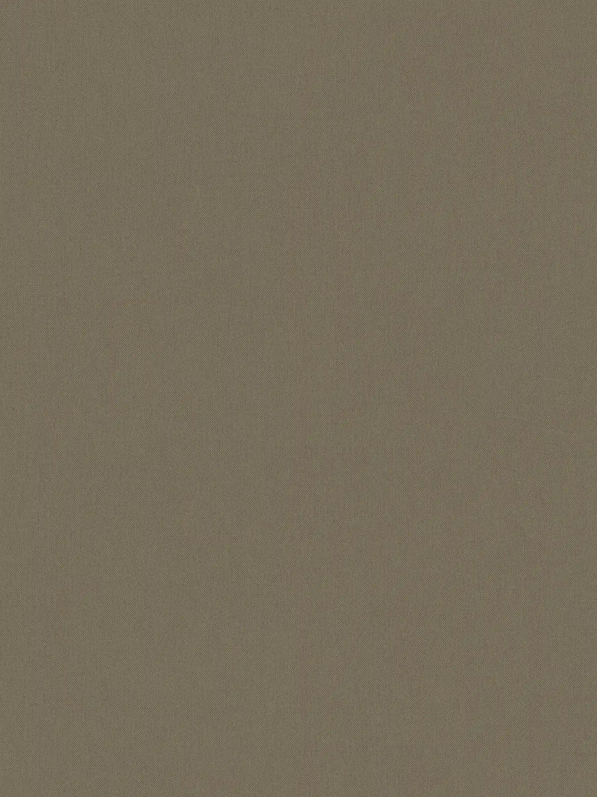 Sample - Art of Eden Plain Coordinate Wallpaper - Chocolate Brown