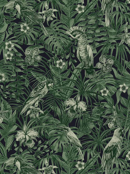 Jungle Parrots Wallpaper - Green/Black