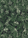 Jungle Parrots Wallpaper - Green/Black