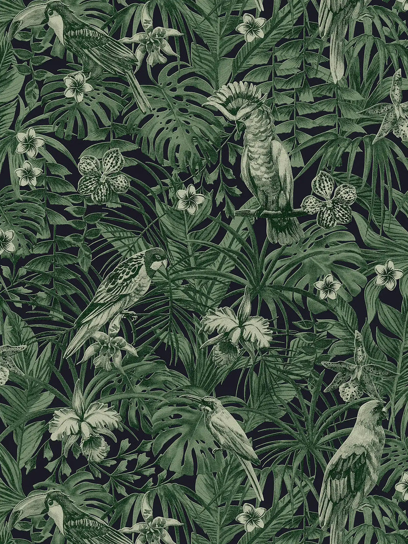Jungle Parrots Wallpaper - Green + Black