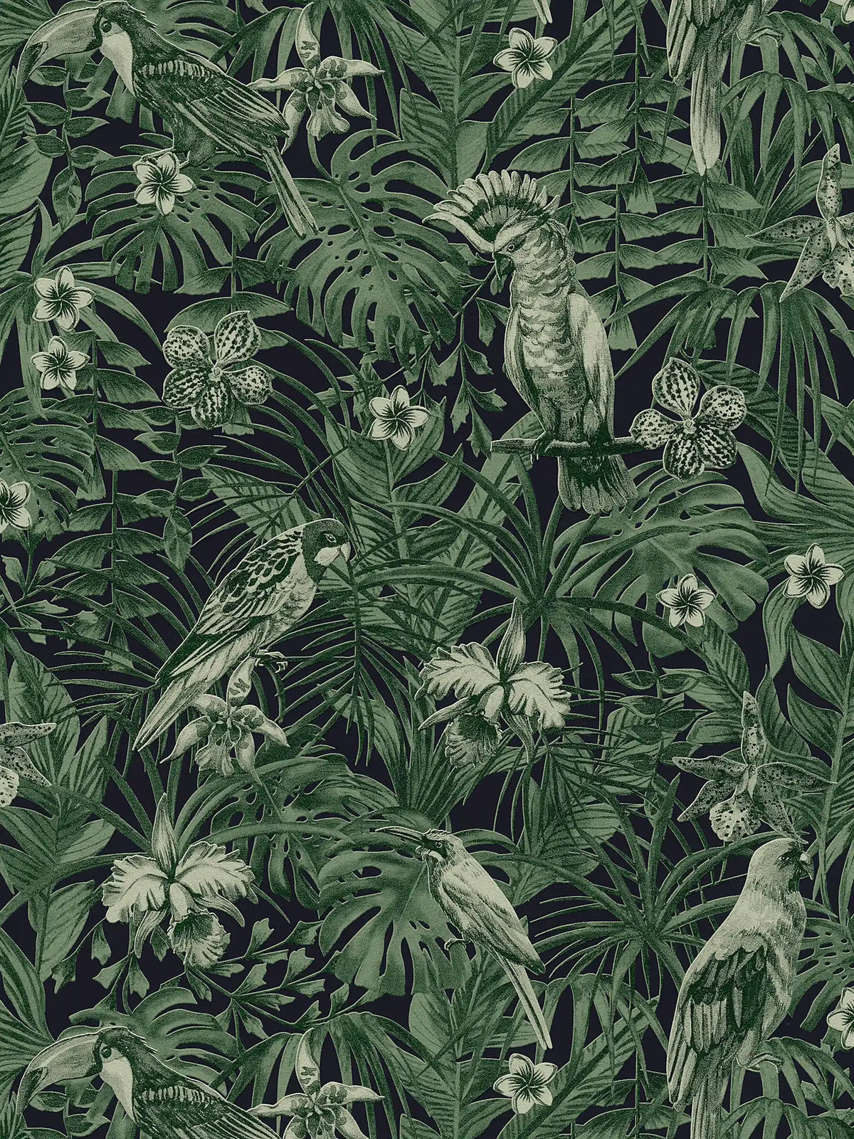 Sample - Jungle Parrots Wallpaper - Green/Black