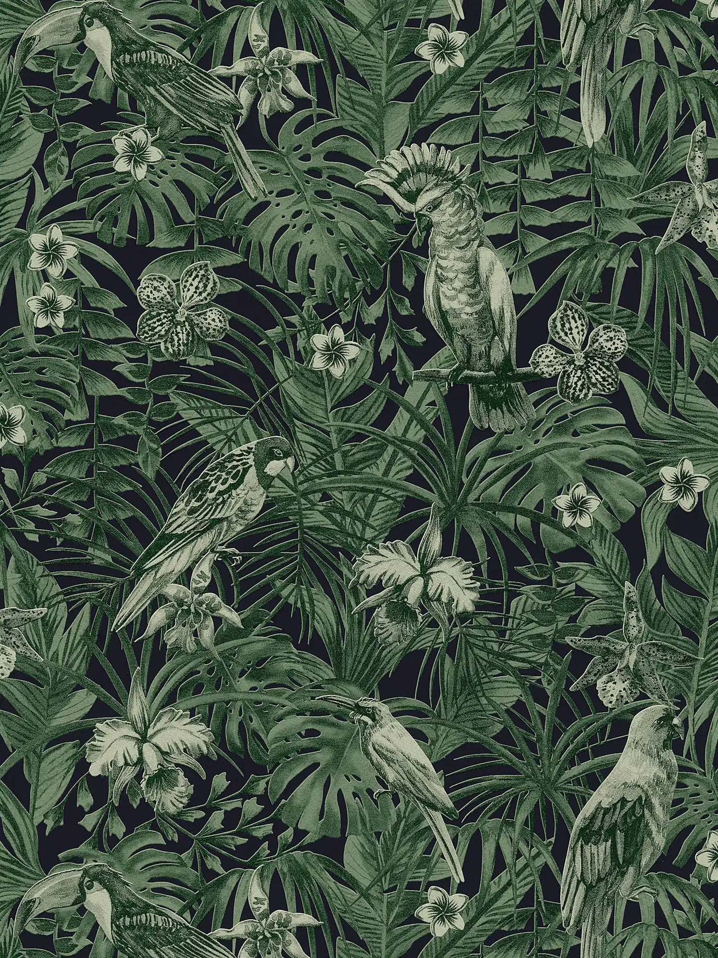 Sample - Jungle Parrots Wallpaper - Green/Black