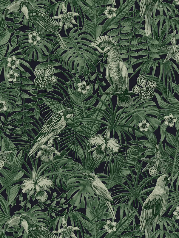 Sample - Jungle Parrots Wallpaper - Green/Black