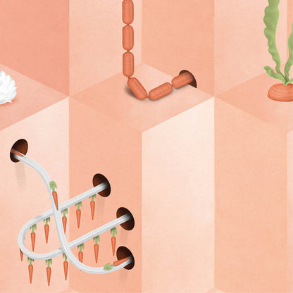 Pink Carrot Wallpaper Mural {per m2}
