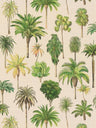 Riviera Palm Tree Wallpaper – Natural