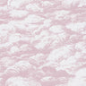 Cloudy Cloud Wallpaper - Pink