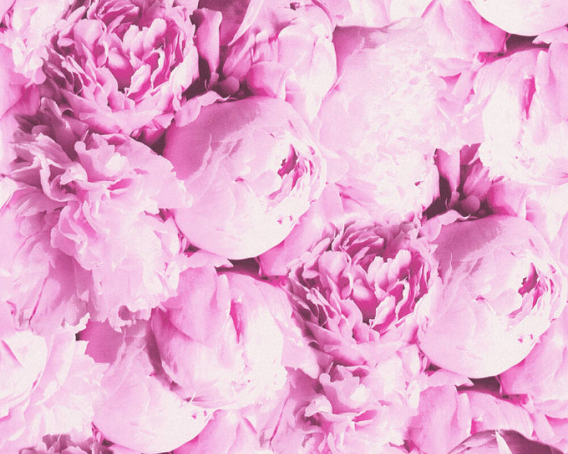 Sample - Peony Wallpaper - Bright Pink