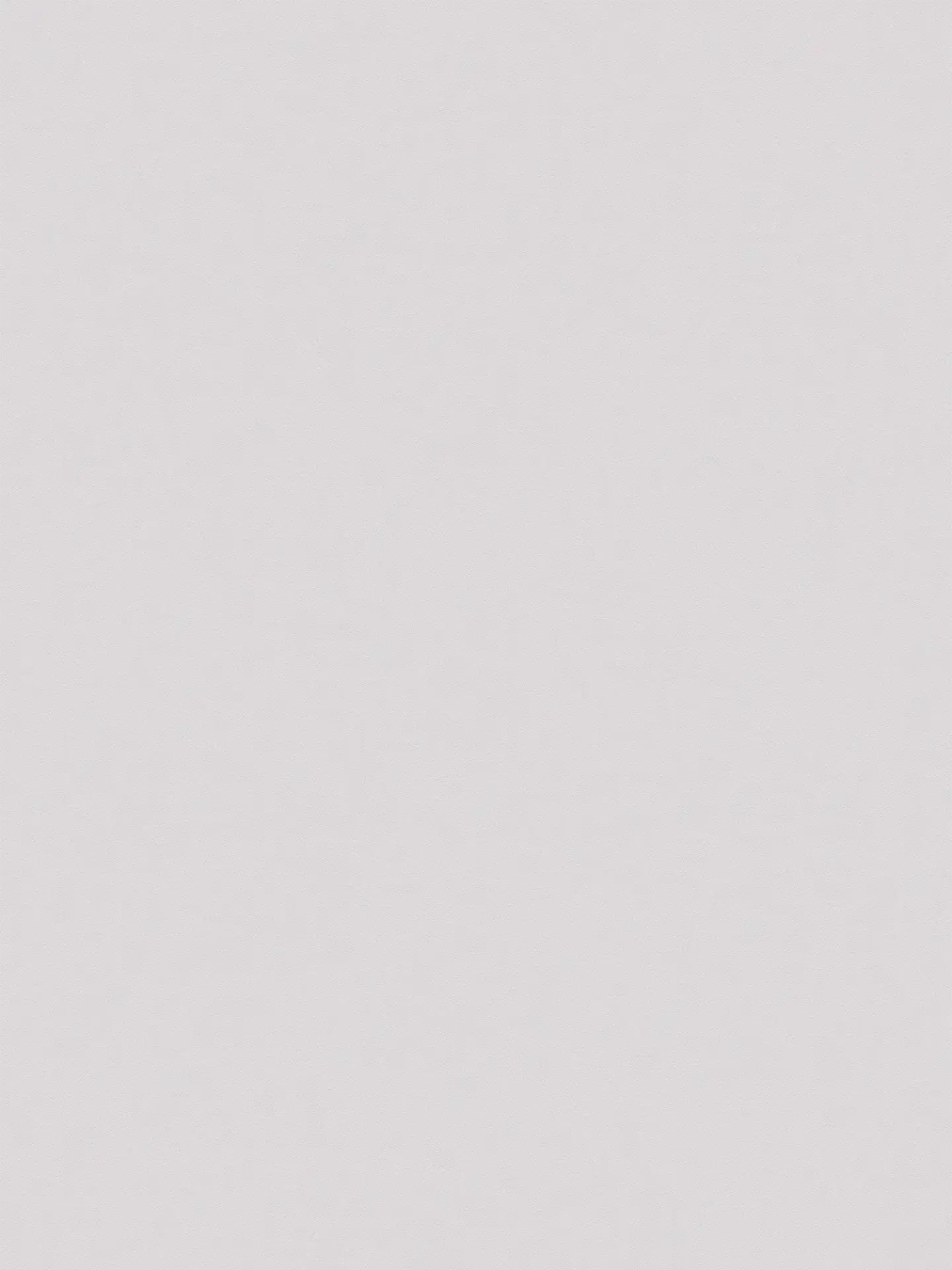Textured Wallpaper - Grey/White