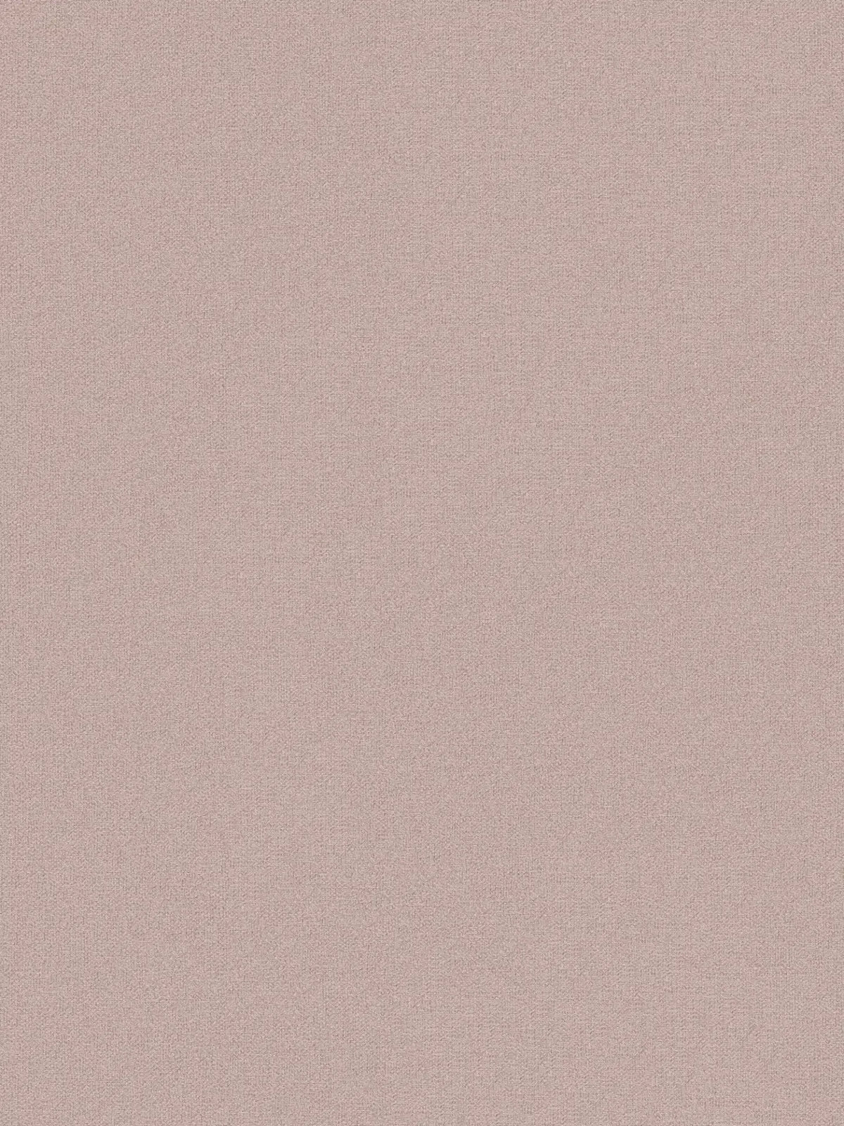 Natural Living Wallpaper - Blush - Coordinates