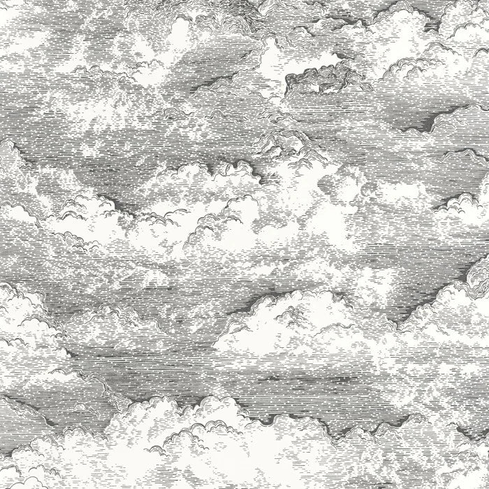 Sample - Songe Cloud Wallpaper - Black/White