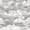 Songe Cloud Wallpaper - Black/White - Discontinuing
