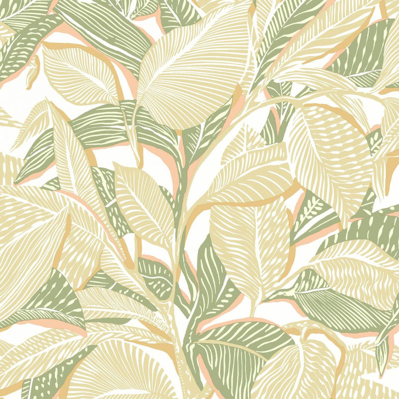 Riviera Lagoon Wallpaper - Melon