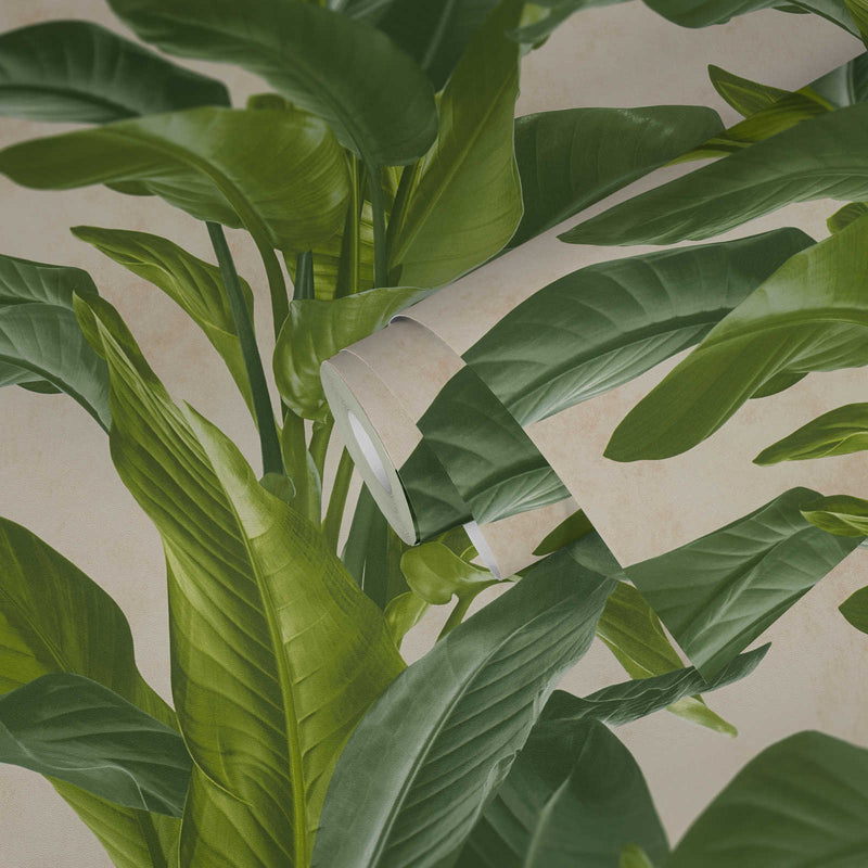 Banana Tropical - Cream + Green