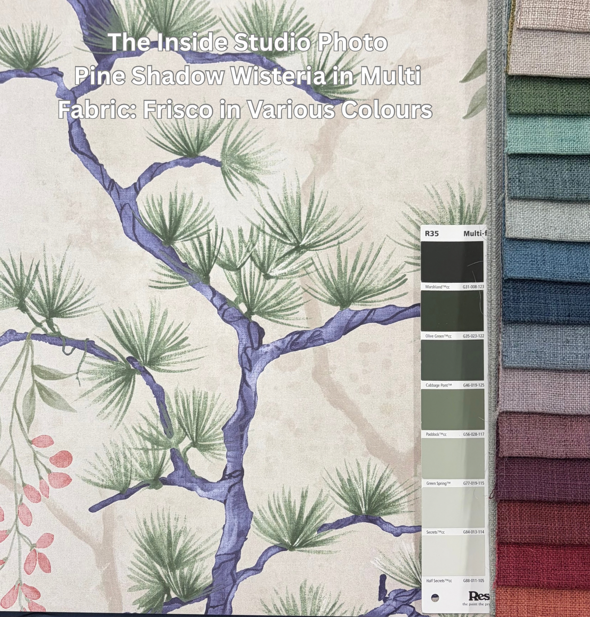 Pine Shadow Wisteria Wallpaper – Multi