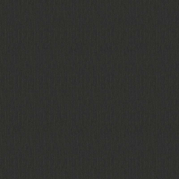 Sample - Versace Coordinate Wallpaper - Black