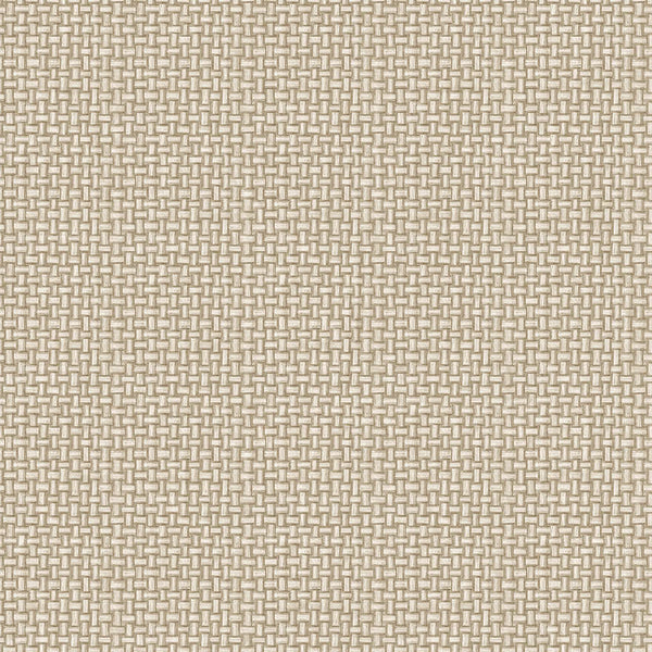 Sample - Biderbost Weave Wallpaper - Beige