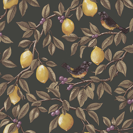 Ponderosa Bird and Lemon Wallpaper - Charcoal
