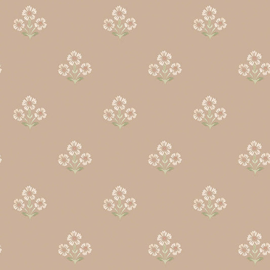 Isadora Plaster
