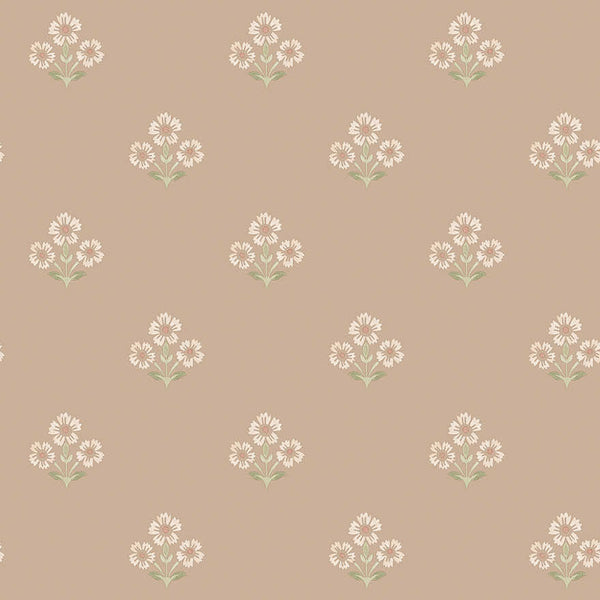 Sample - Isadora Plaster