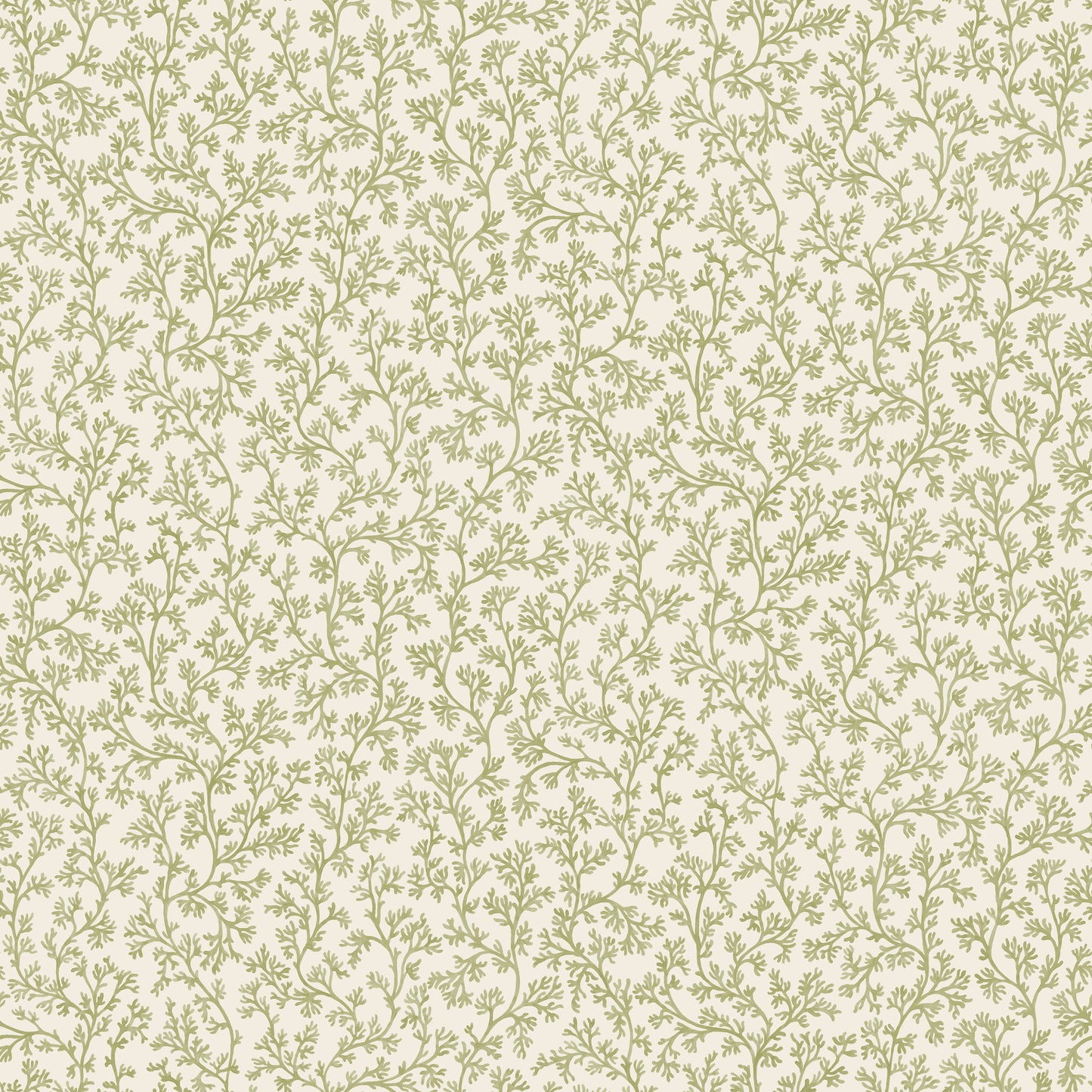 Posedonia Wallpaper – Sage