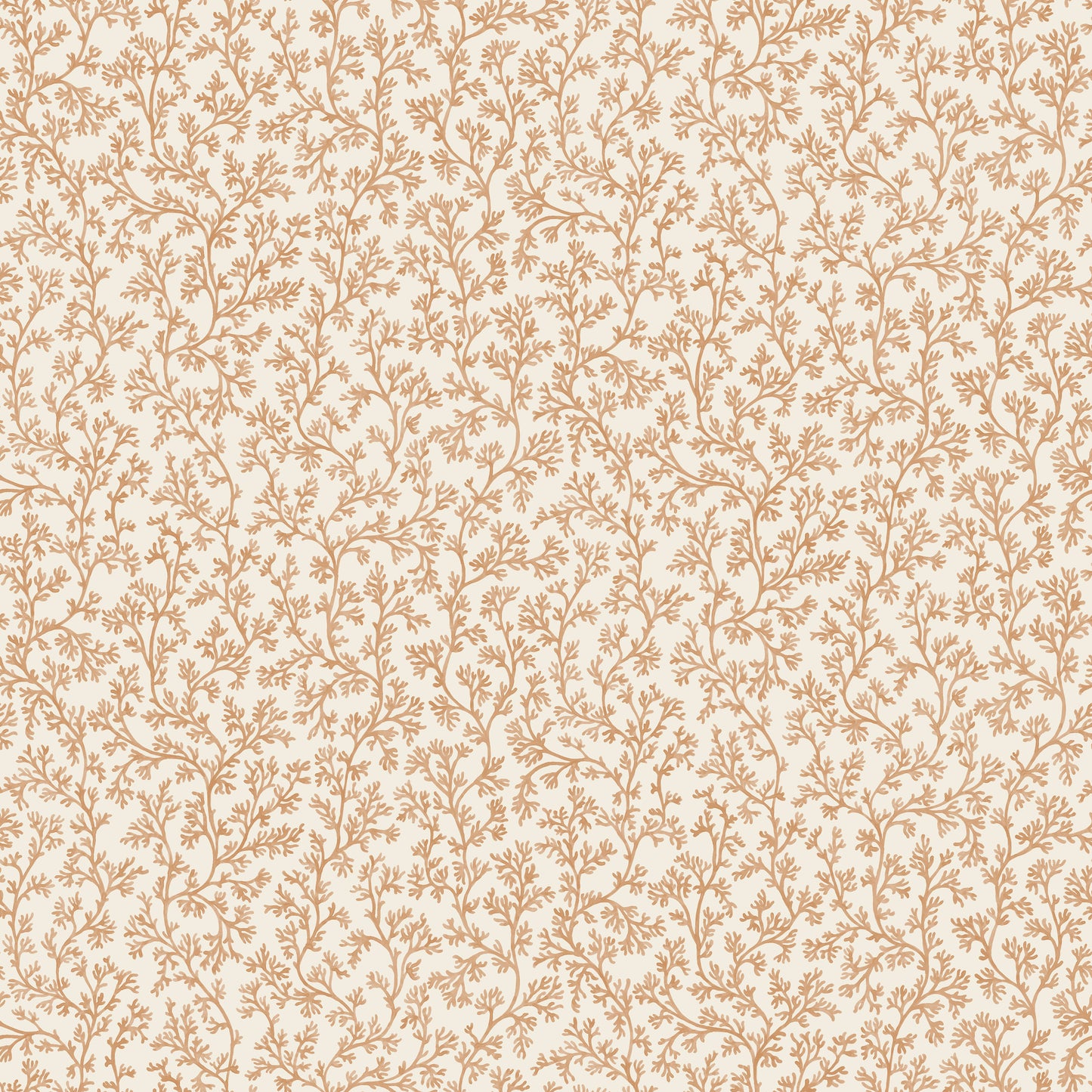 Posedonia Wallpaper – Coral