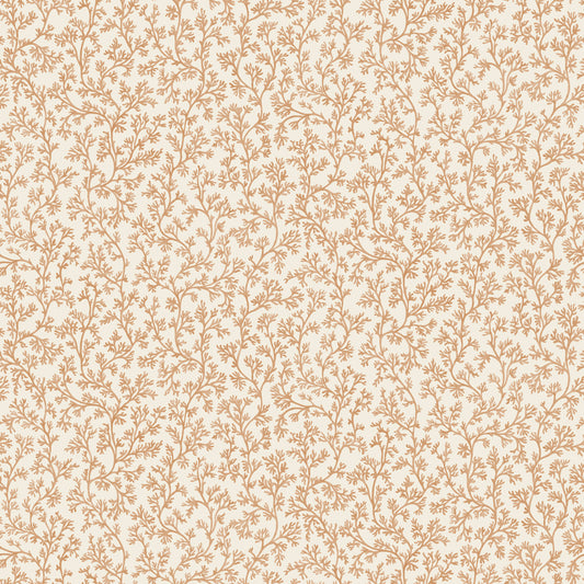 Posedonia Wallpaper – Coral