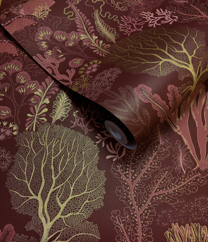 Nautilus Wallpaper – Berry