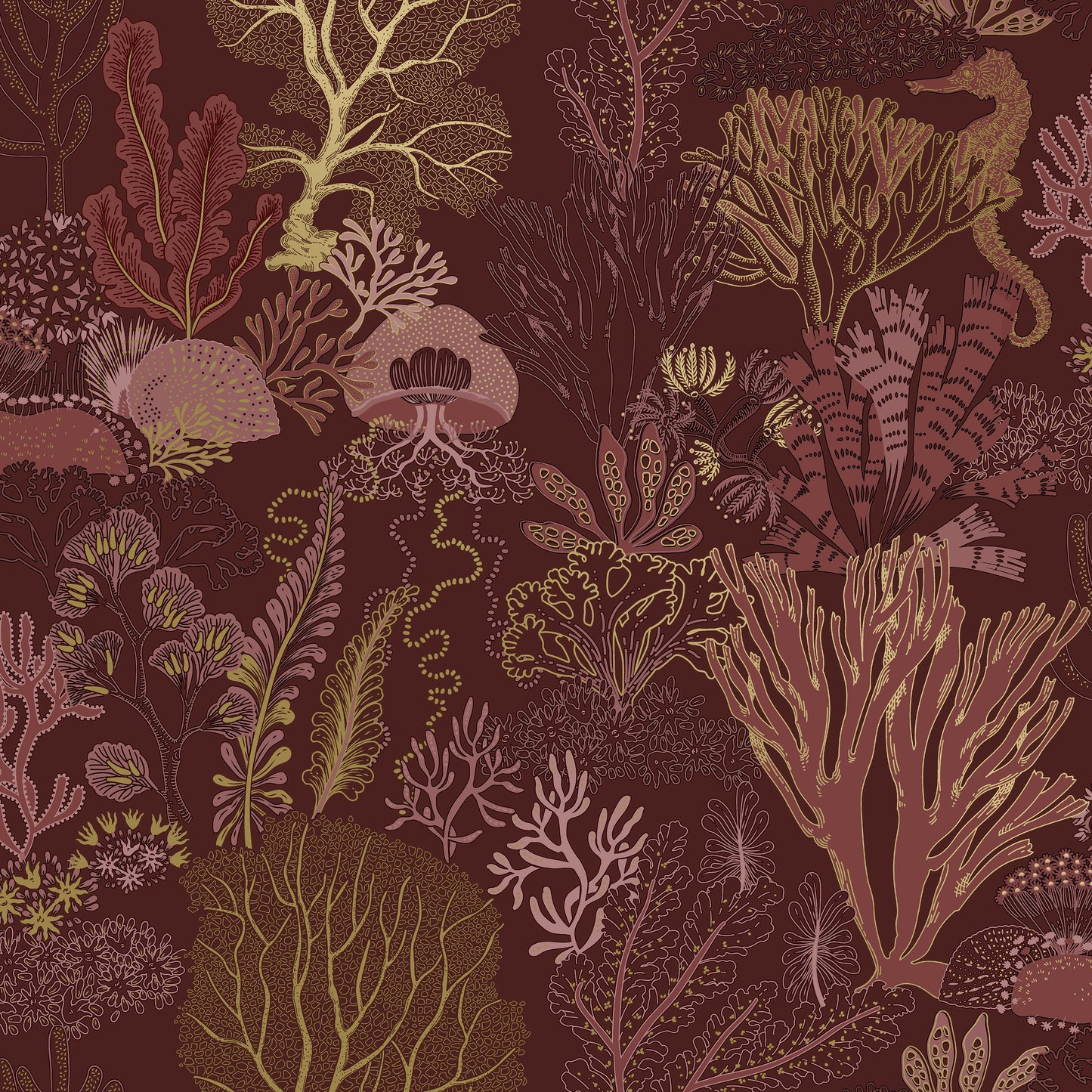 Nautilus Wallpaper – Berry