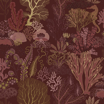 Nautilus Wallpaper – Berry