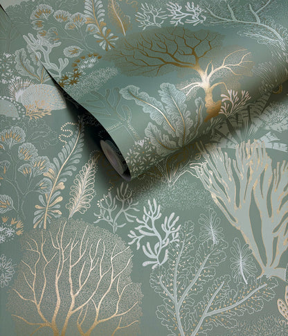 Nautilus Wallpaper – Aqua