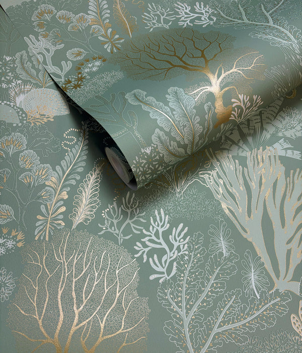 Sample - Nautilus Wallpaper - Aqua