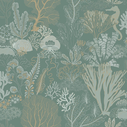 Nautilus Wallpaper – Aqua