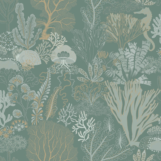 Nautilus Wallpaper – Aqua