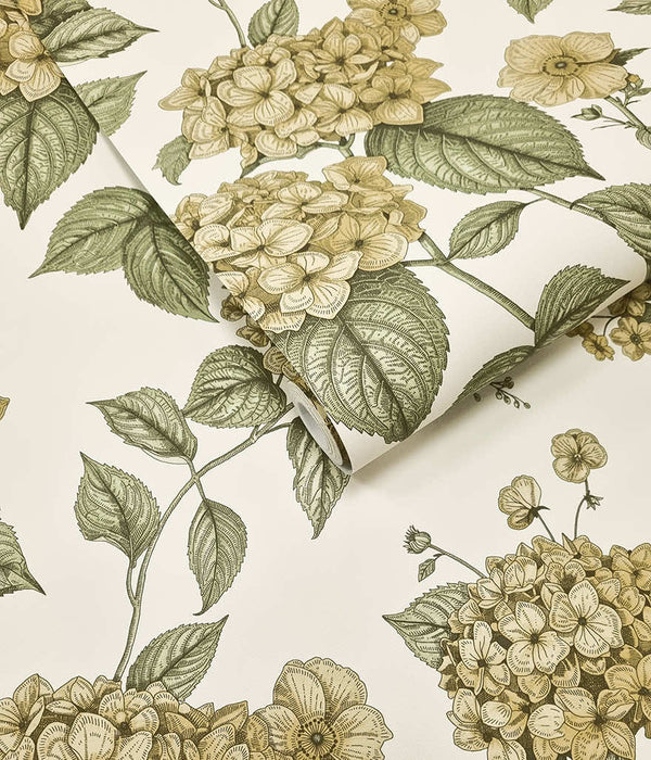 Sample – Hortensia Hydrangea Wallpaper – Ochre/Green