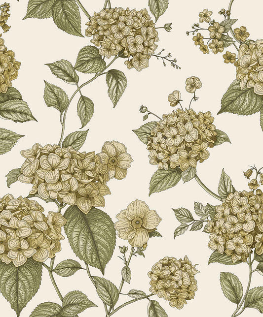 Hortensia - Hydrangea Wallpaper - Ochre/Green