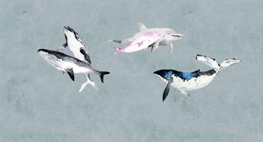 Oceans five - Custom Sized Wallpaper Mural (per m2)