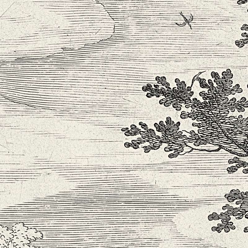 Fancy Forest  - Plain Fancy Forest - Custom Sized  (per m2)