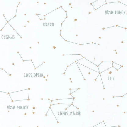Our Planet Constellations Wallpaper - White