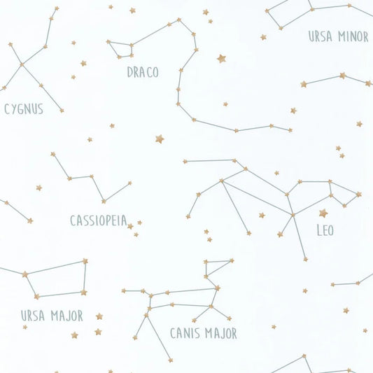 Our Planet Constellations Wallpaper - White
